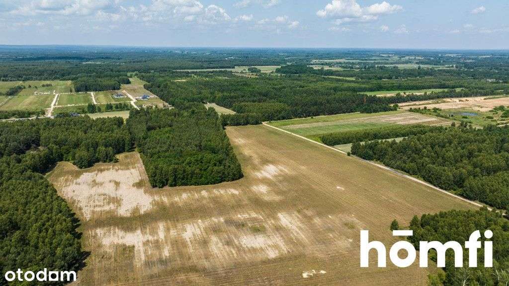 Działki przy lesie - uzbrojone, gotowe do zabudowy - Pełny obrazek: 4/14