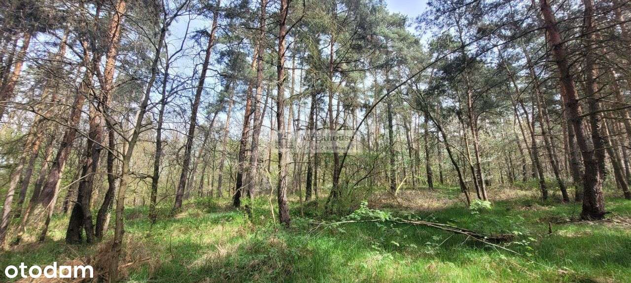 Okazja dla inwestora, dewelopera!!!-1