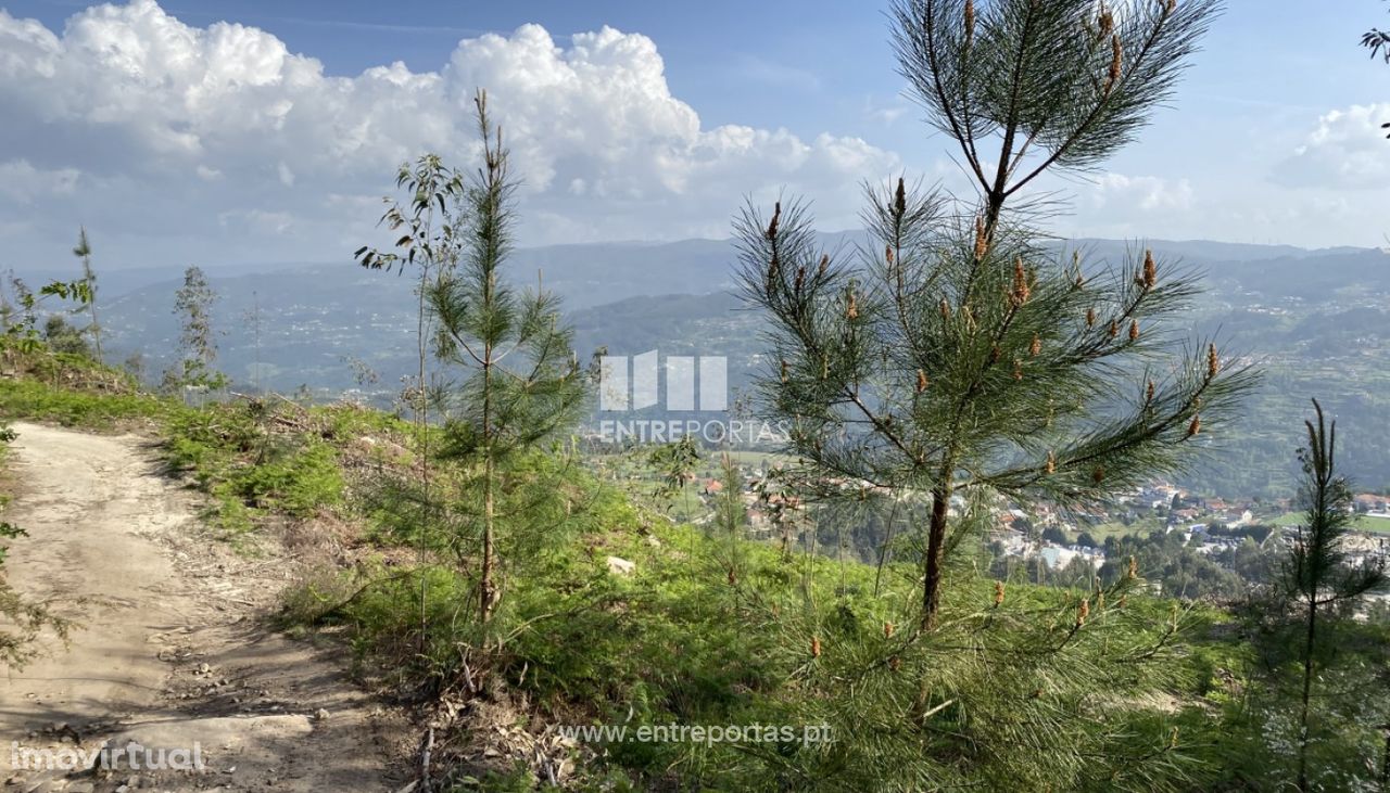 Venda Terreno com área de 4200 m2, São Lourenço do Douro, Marco de