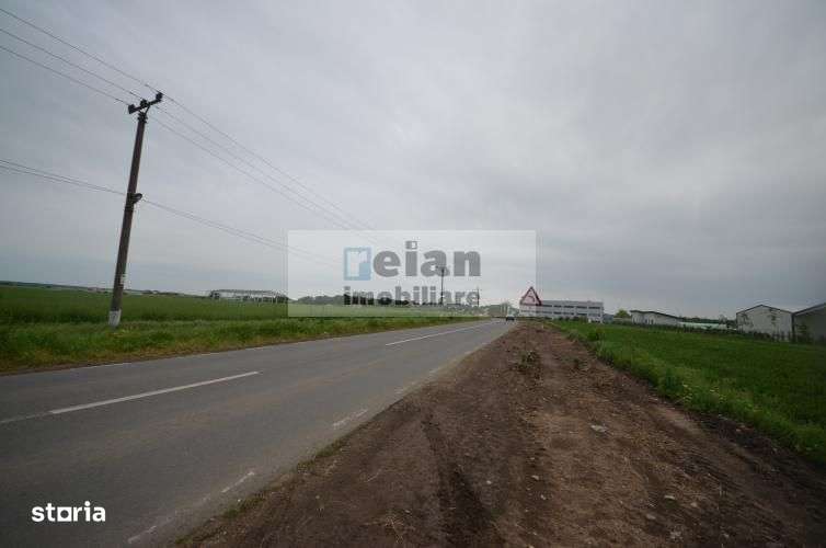 Dascalu - Teren 7ha, Deschidere 130 Ml La Dj 200, Utilitati Investitie - Imagine principală: 3/6