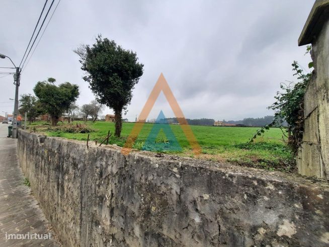 Quinta em Válega - Ovar-5