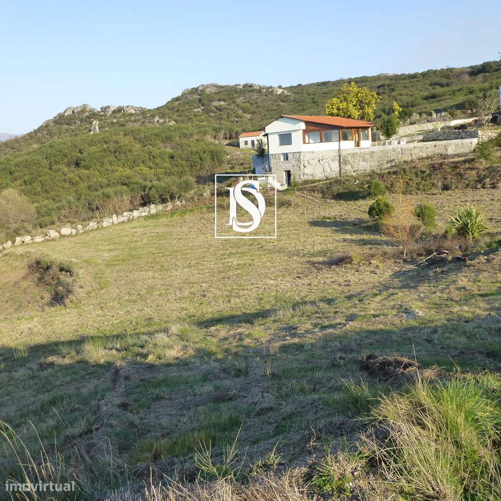 MORADIA T1 RENOVADA COM 10.000 m² – BUSTELO, AMARANTE-6