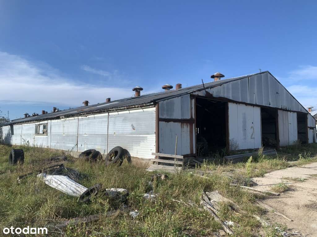 371 ha Gospodarstwo Rolne, 50 000m2 pod zabudową, Warmińsko-Mazurskie - Pełny obrazek: 5/8