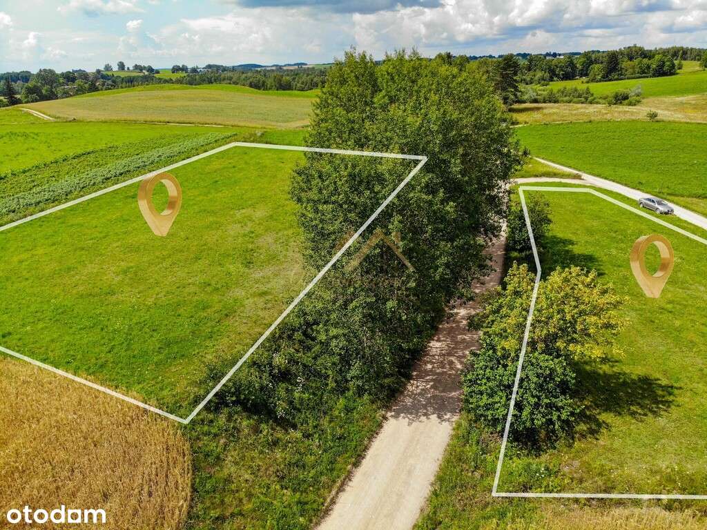 2km od jez. Hańcza | 1251m2, 2199m2, 1.17ha - Pełny obrazek: 4/19