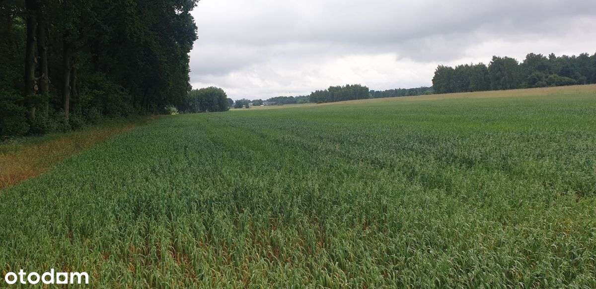 Działka, 1 041 m², Wola Pasikońska-7