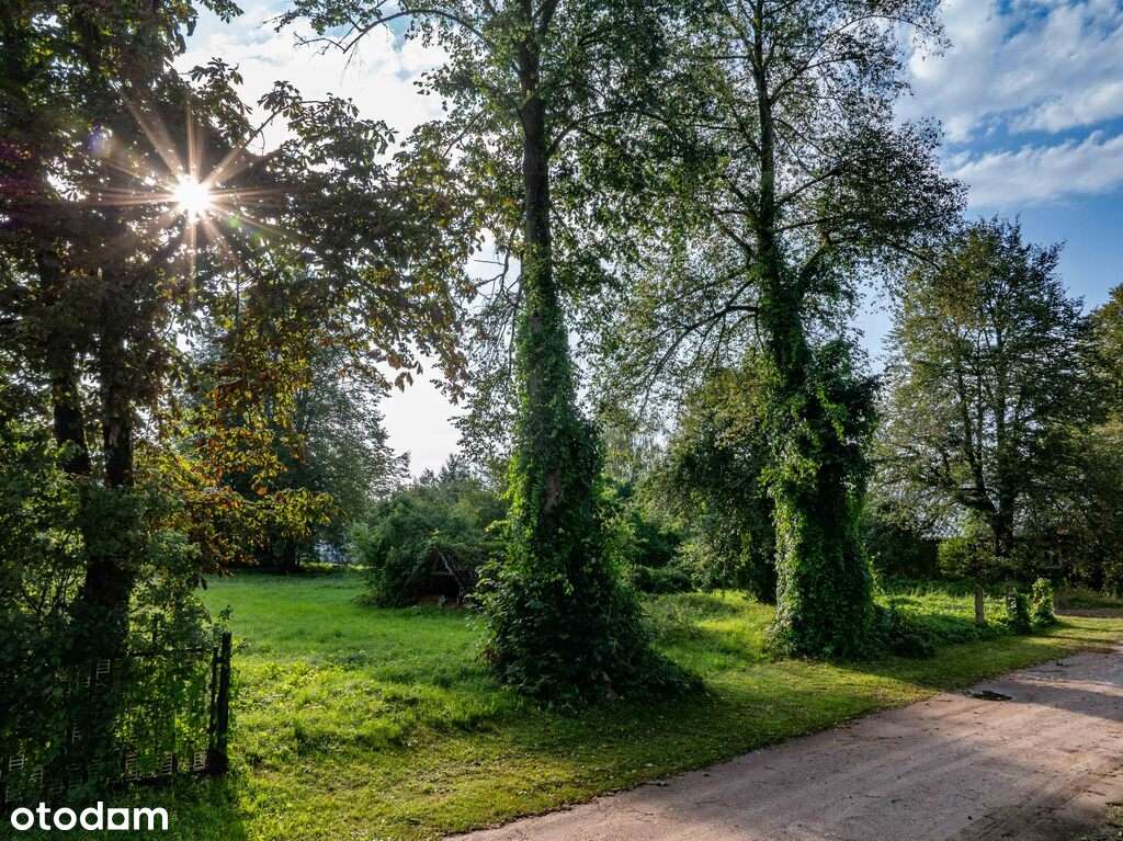 Działka w okolicy Krynek, Ostrów Południowy-2