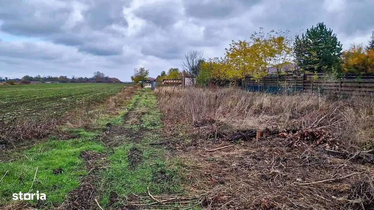 Teren intravilan, 1320 mp, la asfalt in Balotesti-5