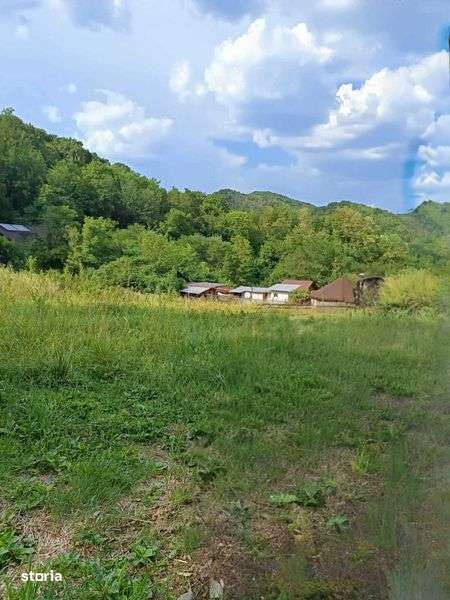 Teren 3.600mp intravilan + 10.000mp padure - 7km de centrul Rm Valcea - Imagine principală: 4/7