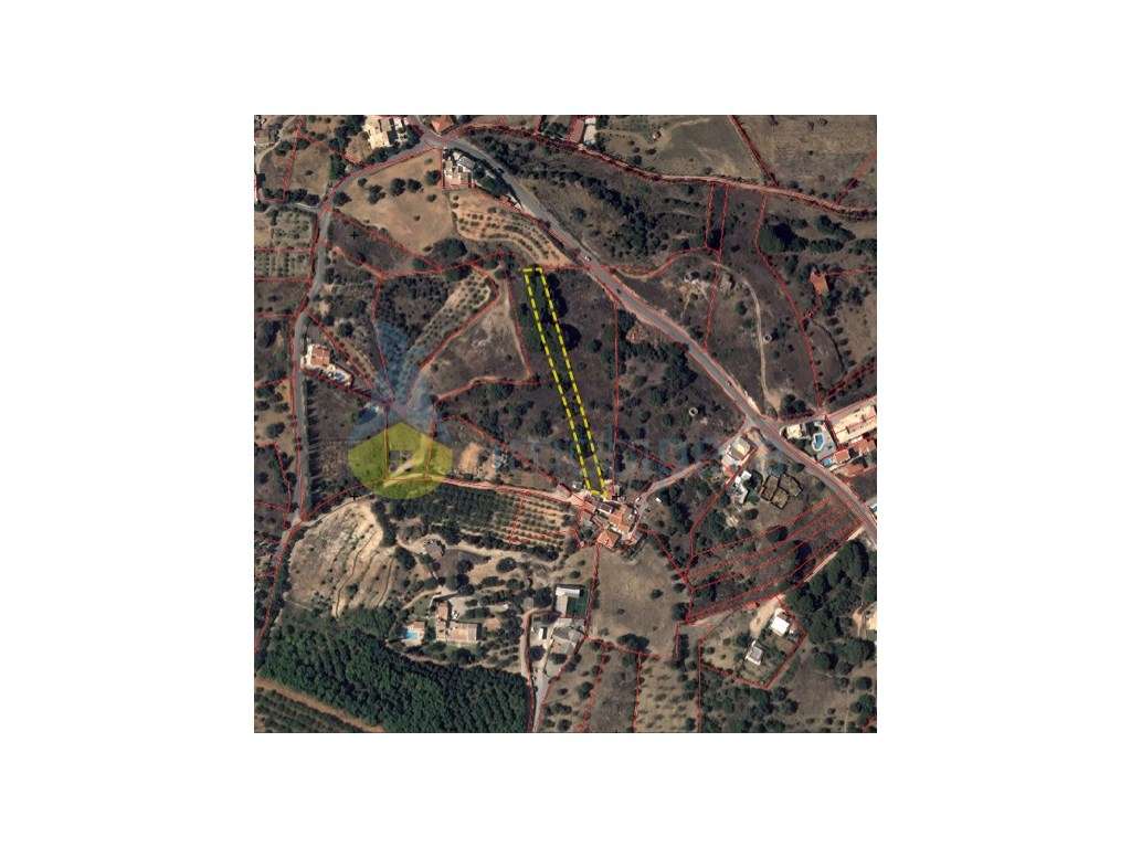 TERRENO COM 2.056m² COM PINHEIROS E EXCELENTE VISTA - Grande imagem: 5/6