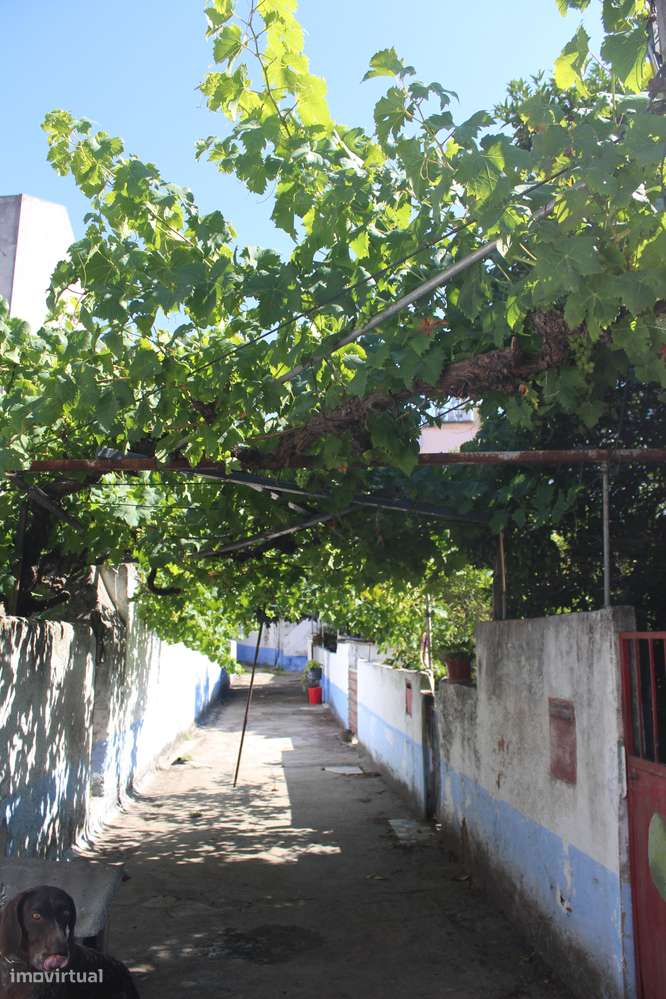 Prédios +Anexos Vende-se Baixa da Banheira ao Pé CGD-6