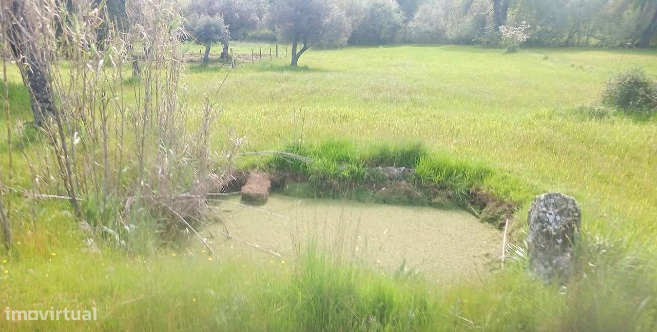 Terreno - Grande imagem: 4/8