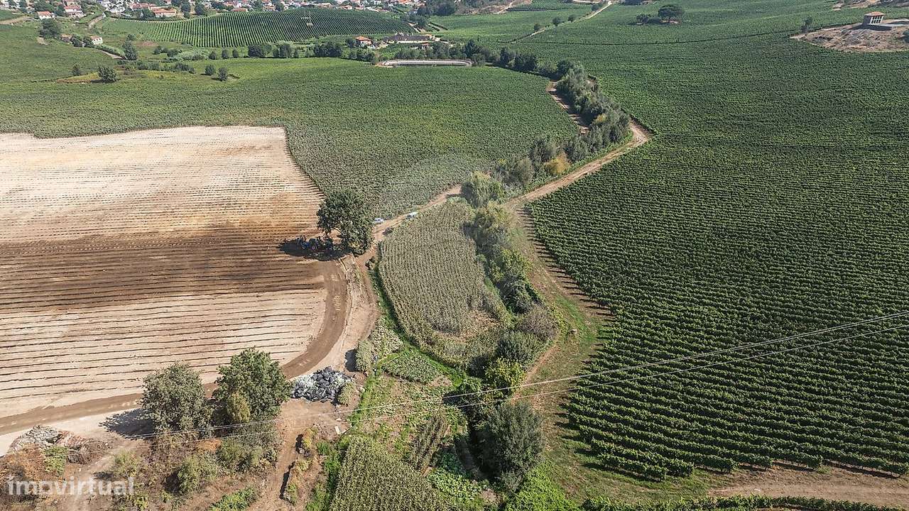 Quinta T3 para venda-10