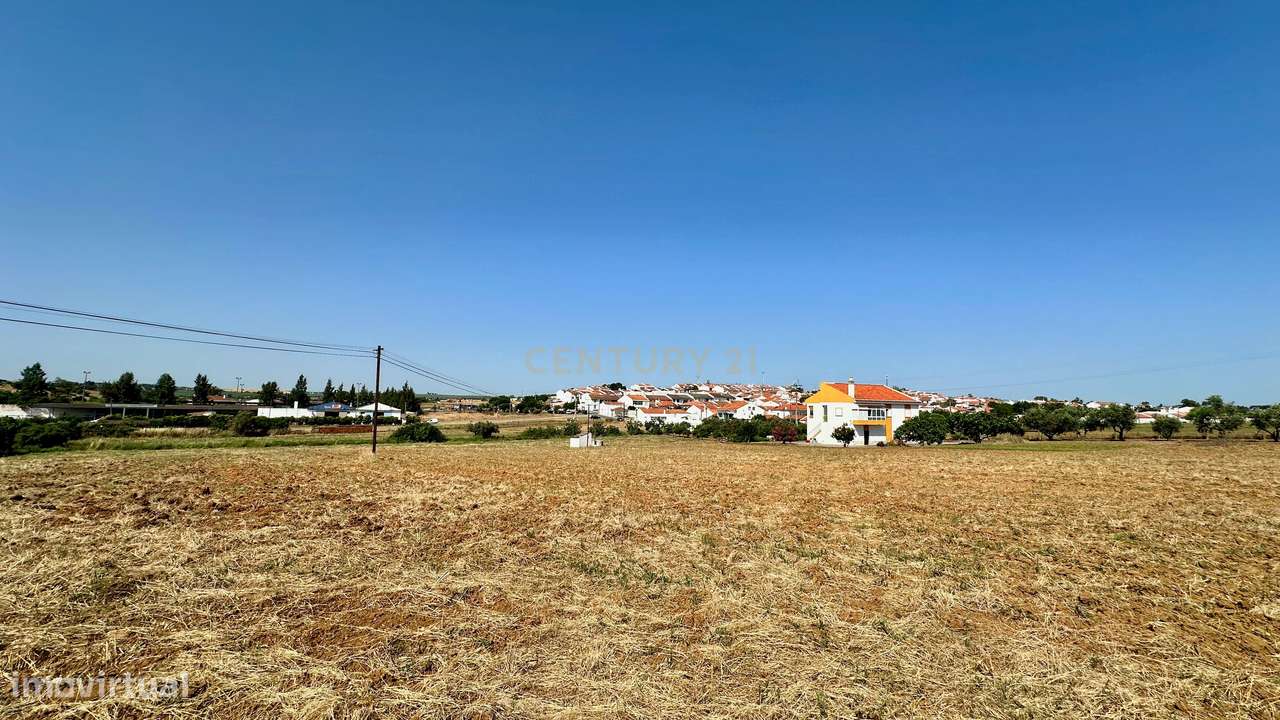 Alentejo-BEJA- Nossa Senhora das Neves, Excelente Quinta, com MORADIA-11