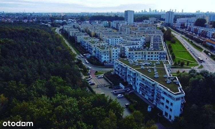 3pok. na Os.ParkLeśny po remoncie.Blisko lasu i M2-15