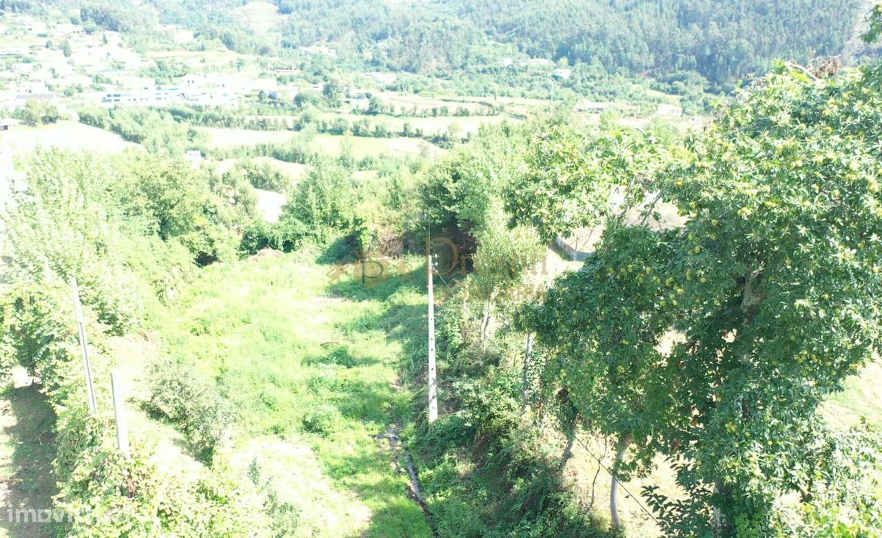 Quinta em Infantas, Guimarães-5