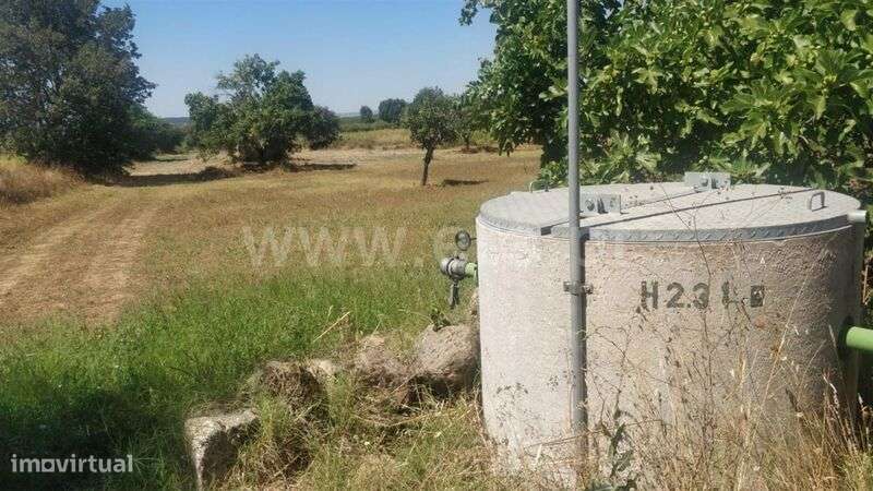 Terreno Rústico / Fundão, Capinha - Grande imagem: 5/5