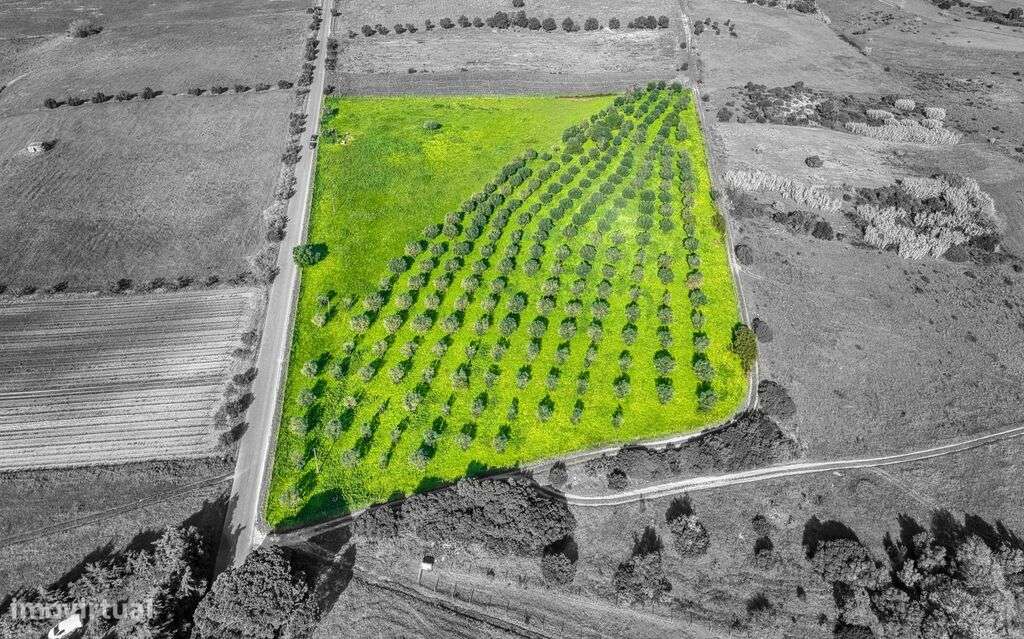 Venda Terreno - Grande imagem: 4/5