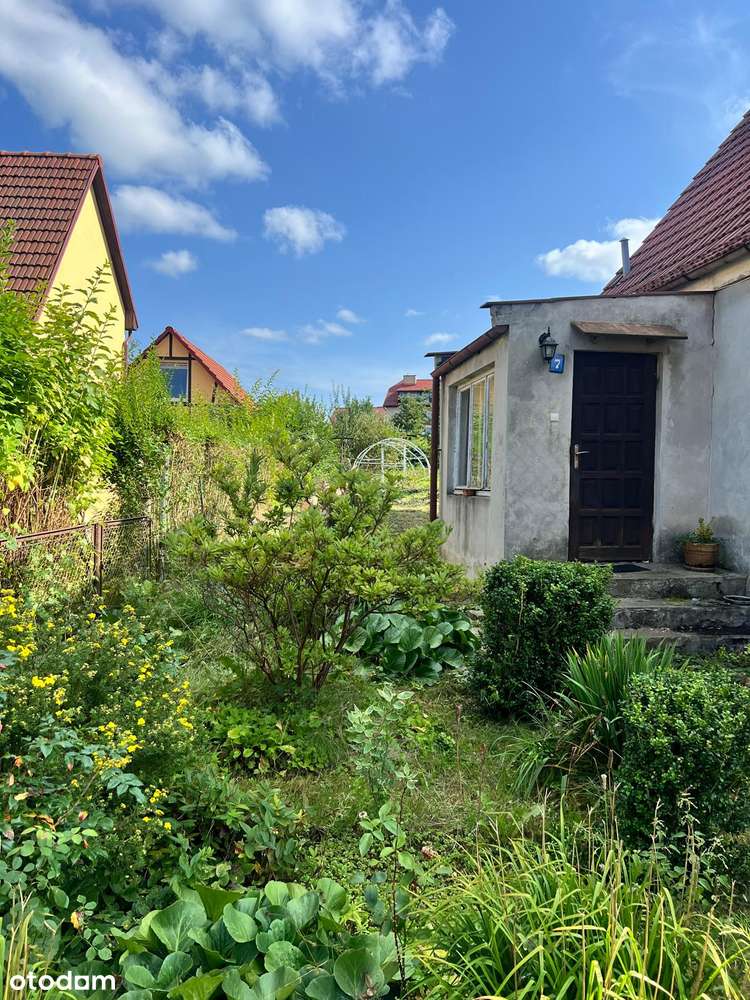 Dom wolnostojący w Głuszycy - Kolonii - Pełny obrazek: 5/7