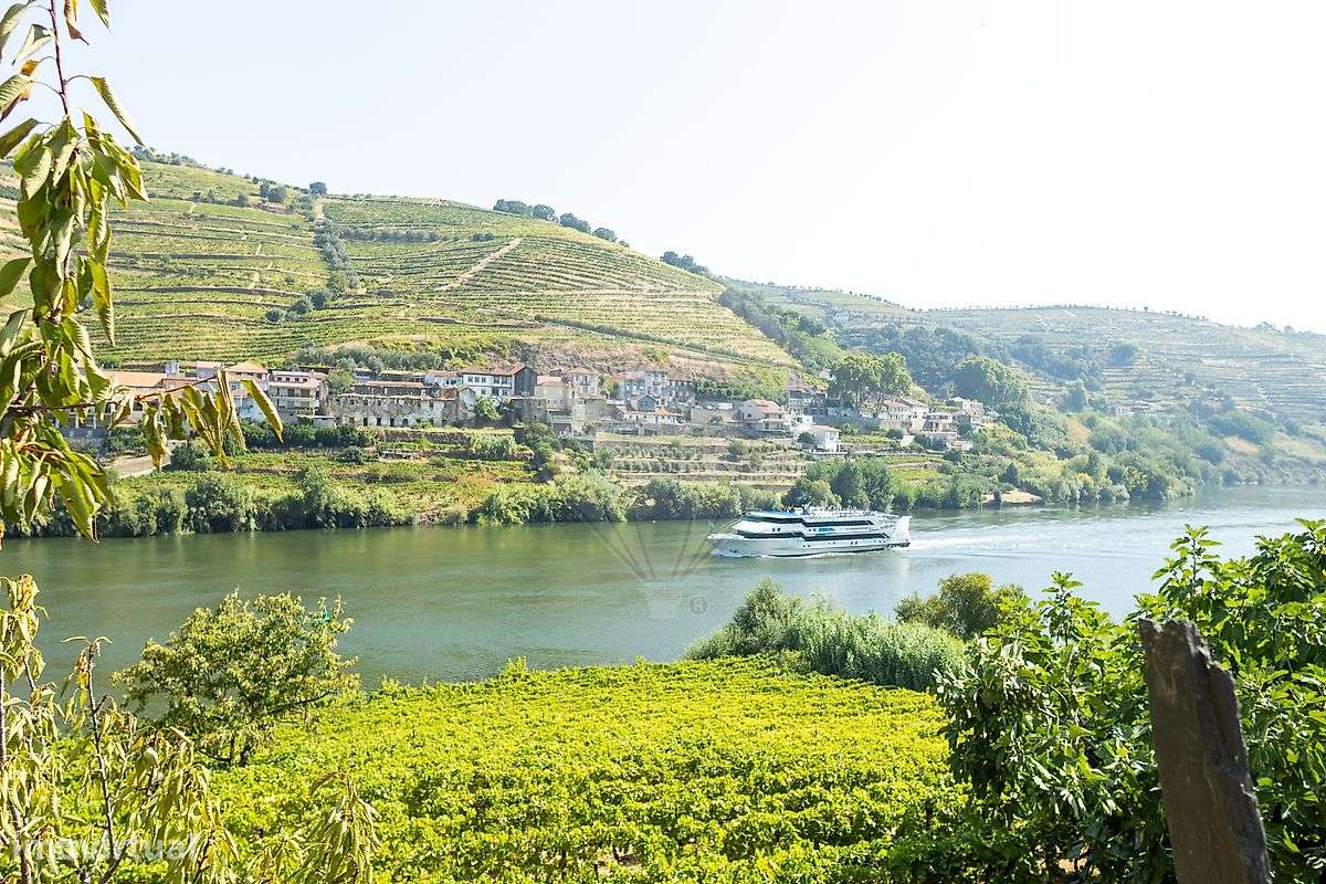 Quinta T8 para venda - Grande imagem: 3/35