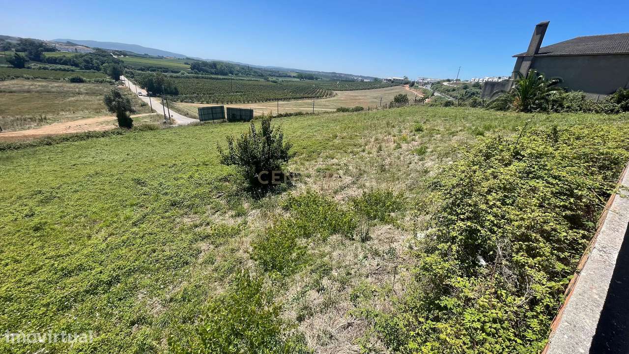 Terreno com 4480 m2 no Bombarral! - Grande imagem: 4/8