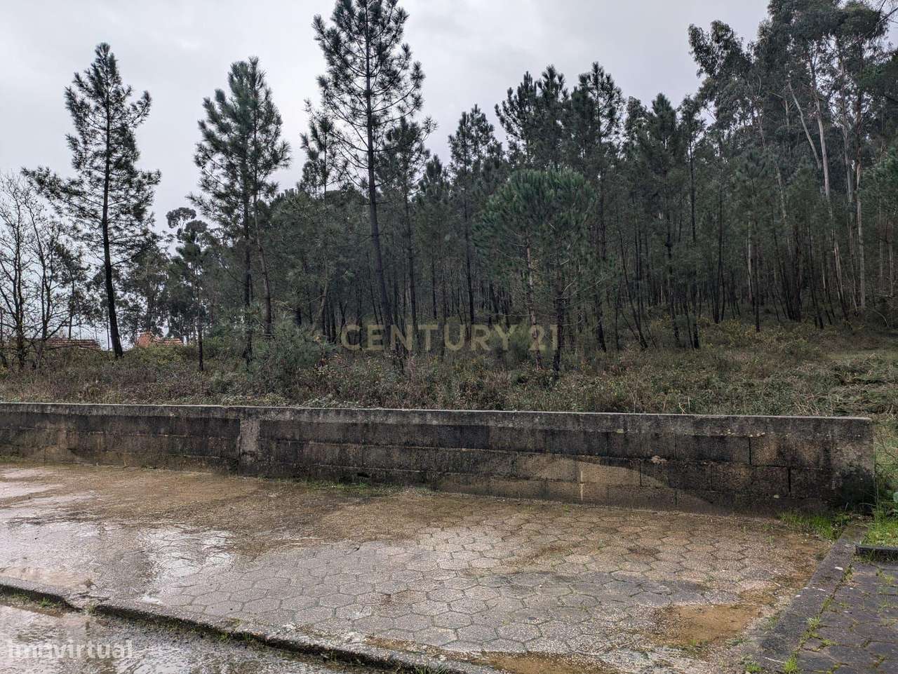 Terreno Urbano - Grande imagem: 4/8