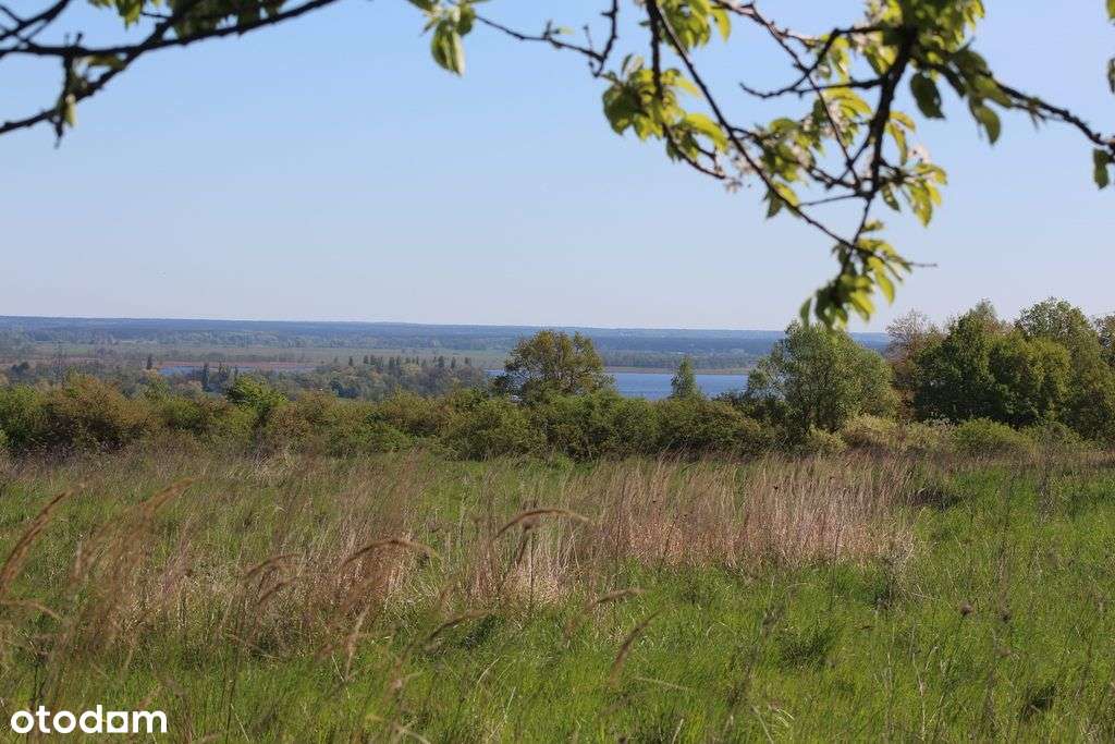 Działki W Skolwinie – Zieleń, Cisza, Potencjał !!!-0