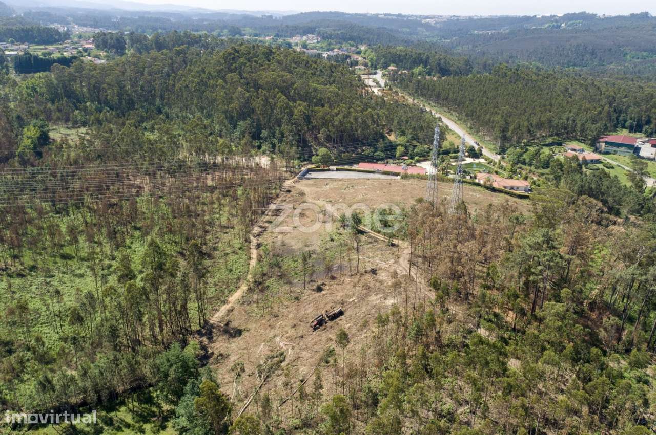 Terreno florestal com capacidade construtiva - Santa Maria da Feira - Grande imagem: 4/36