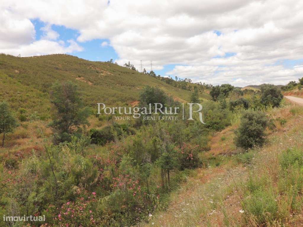Herdade Algarvia de 29 Hectares com Projeto de Construção Aprovado - Grande imagem: 4/34