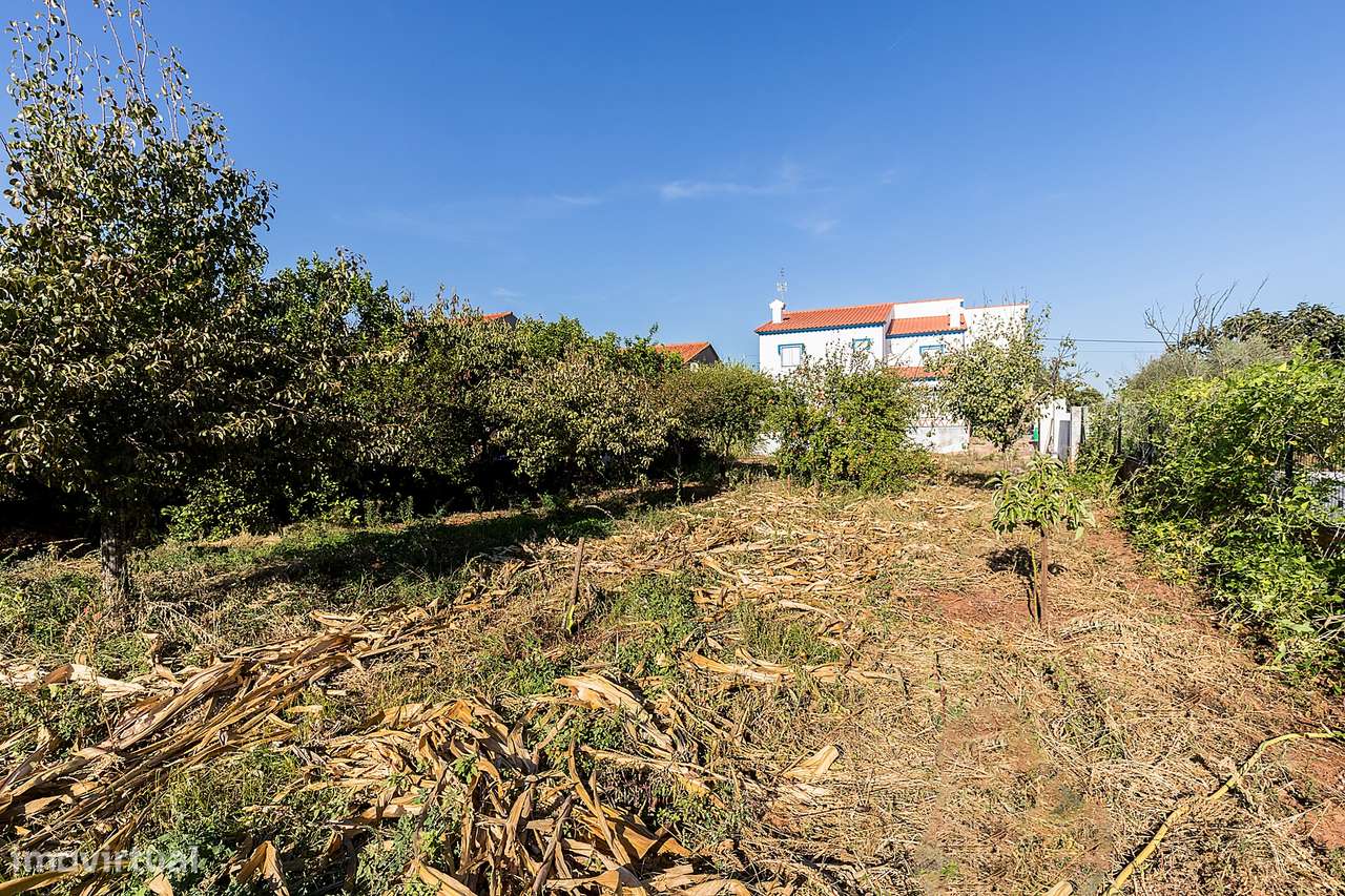 Moradia Isolada T4+2 com 245 m2 em Lote com 961 m2 na Aldeia de Nora,-51