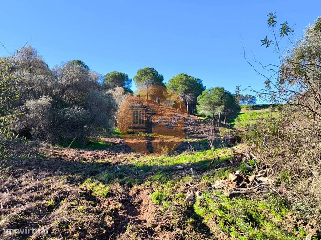 TERRENO COM 8.720 M2 - COM POÇO - PRÓXIMO A CORTE DO GAGO EM CASTRO... - Grande imagem: 4/28