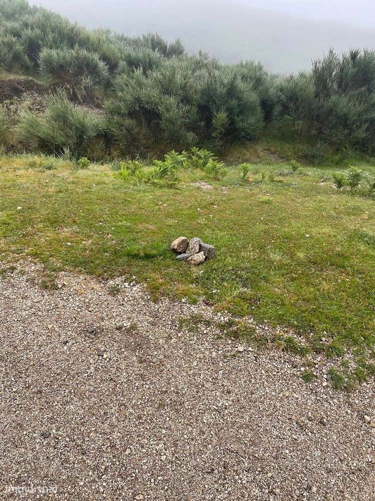 Bouça - Cantelães - Grande imagem: 2/2