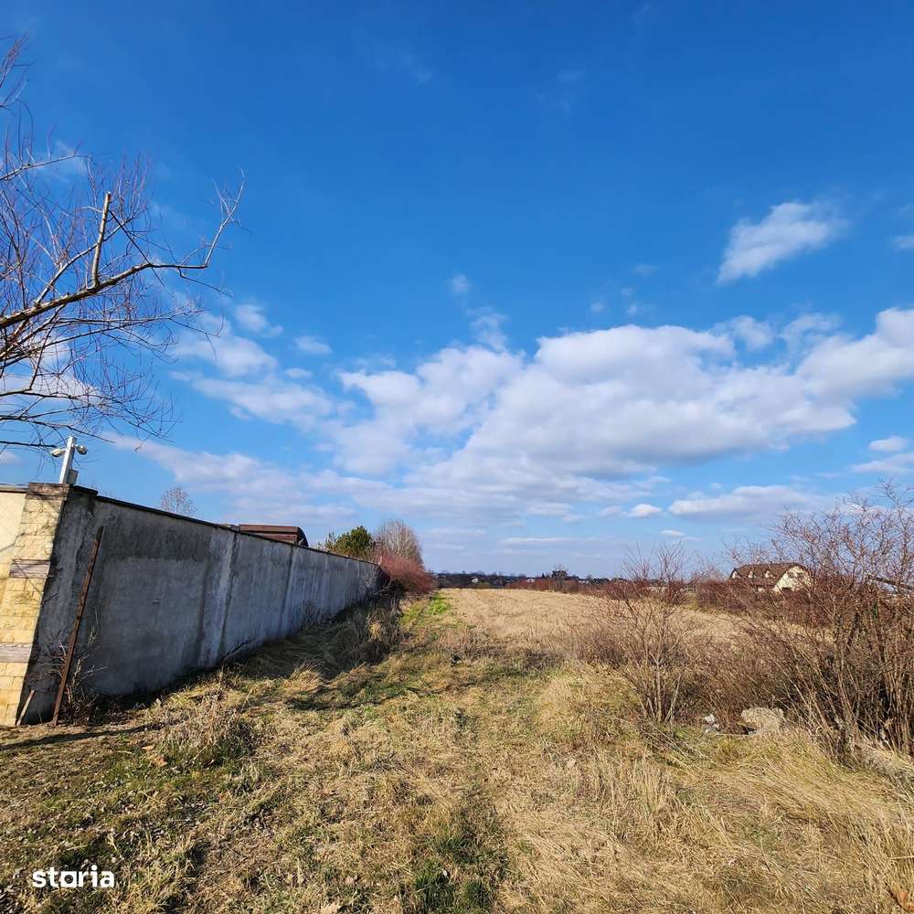 Teren cu deschidere lac Snagov Vladiceasca - Imagine principală: 5/10