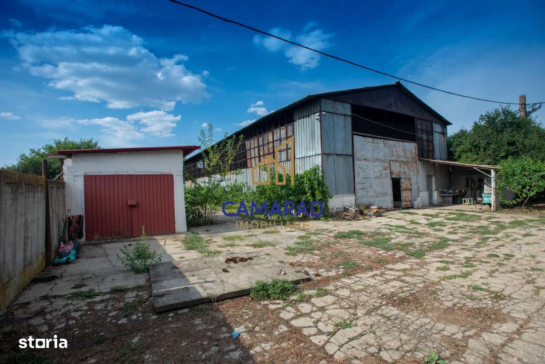 Teren 9000 mp intravilan-casa-hala in Fundeni-Calarasi ideal investiti - Imagine principală: 2/5