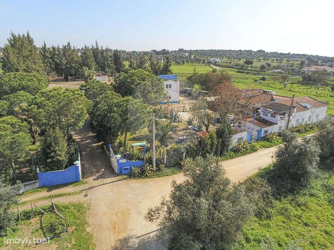 Quinta T7 para venda-6