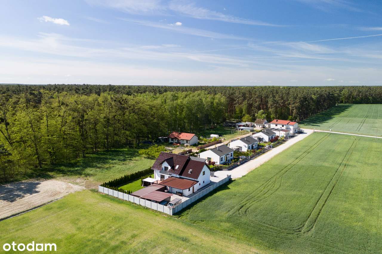 Przestronny dom w otulinie lasu nad Jeziorem Bnińskim-18