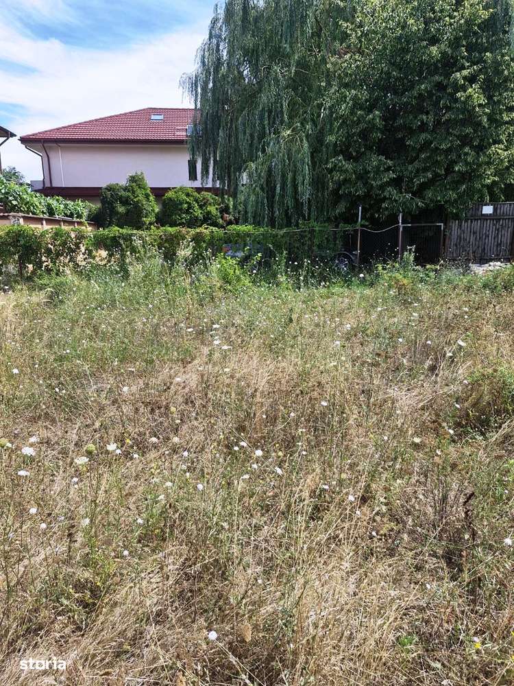 Ciorogarla -Padure-5