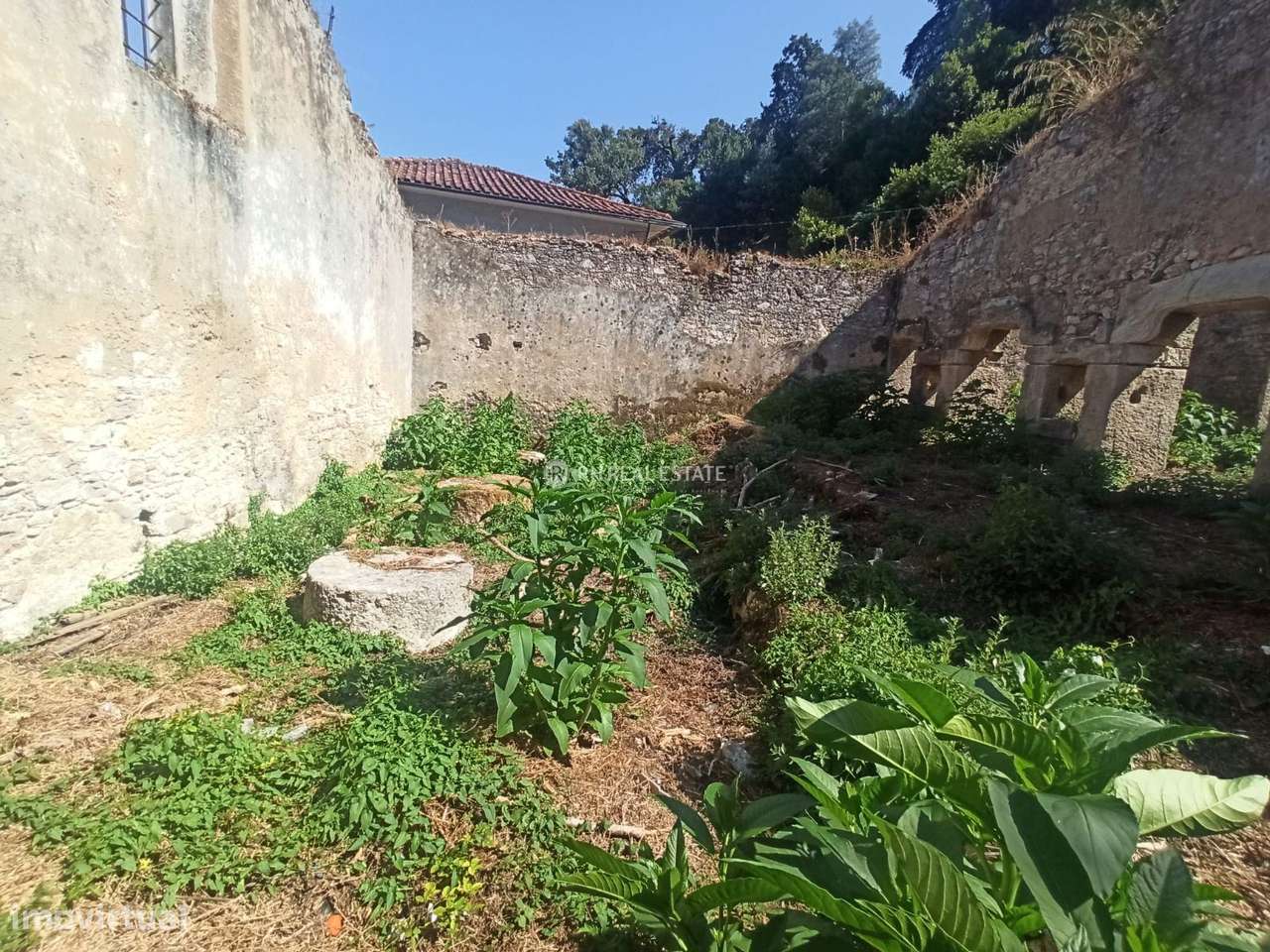 Terreno urbano, para venda, Cantanhede - Ançã-12