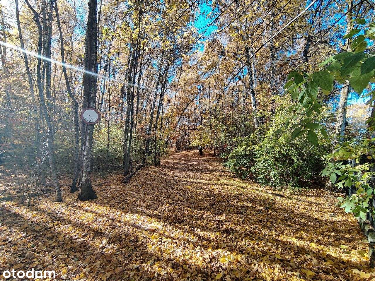 Piękna działka na sprzedaż Katowice Zarzecze - Pełny obrazek: 5/8