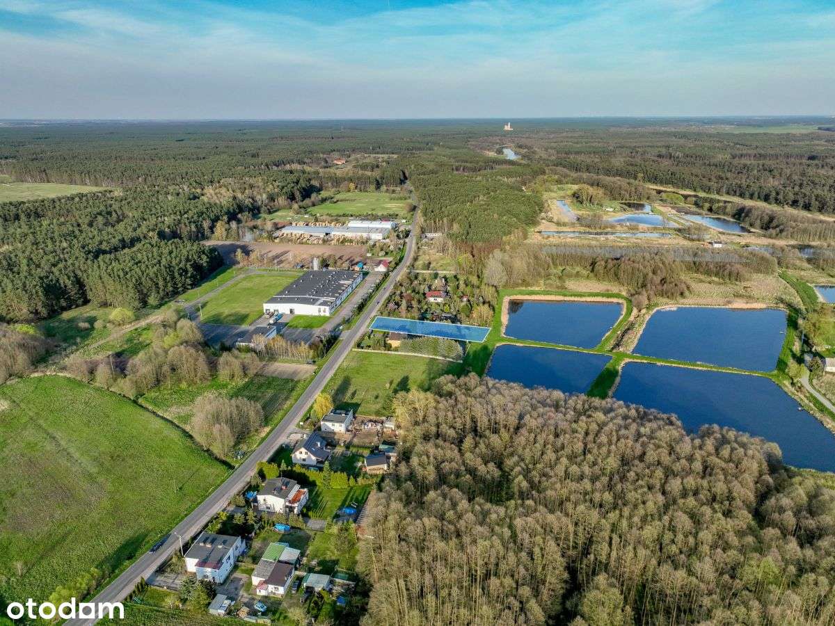 Nietuzinkowa działka w bliskości Puszczy Noteckiej-2