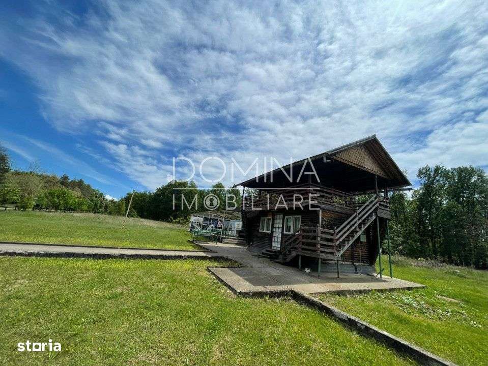 Vanzare teren *oportunitate investitie* in Carbunesti-Sat, la DN 67 B - Imagine principală: 2/9