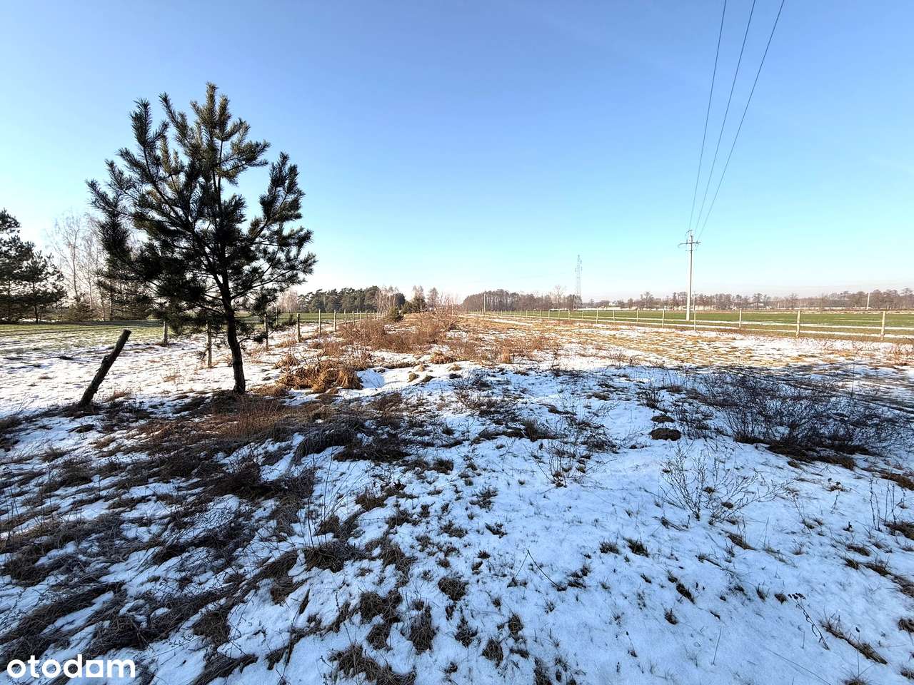 ZIEMIA ROLNA Z WZ O POW. 1,2434 HA PRZY LESIE | PROJEKT I POZWOLENIE!-3