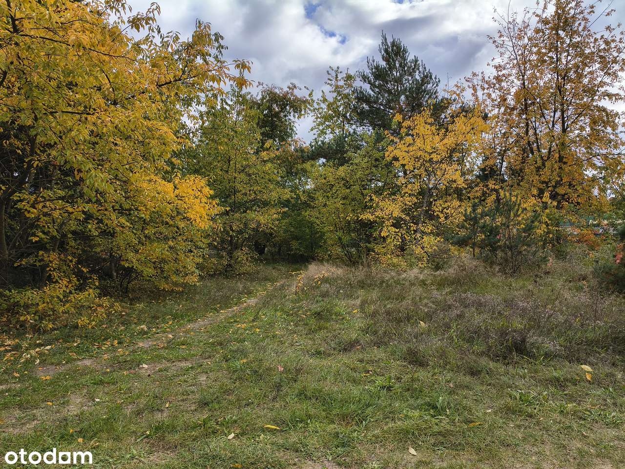 Działka rekreacyjna w Wieleniu. - Pełny obrazek: 4/5