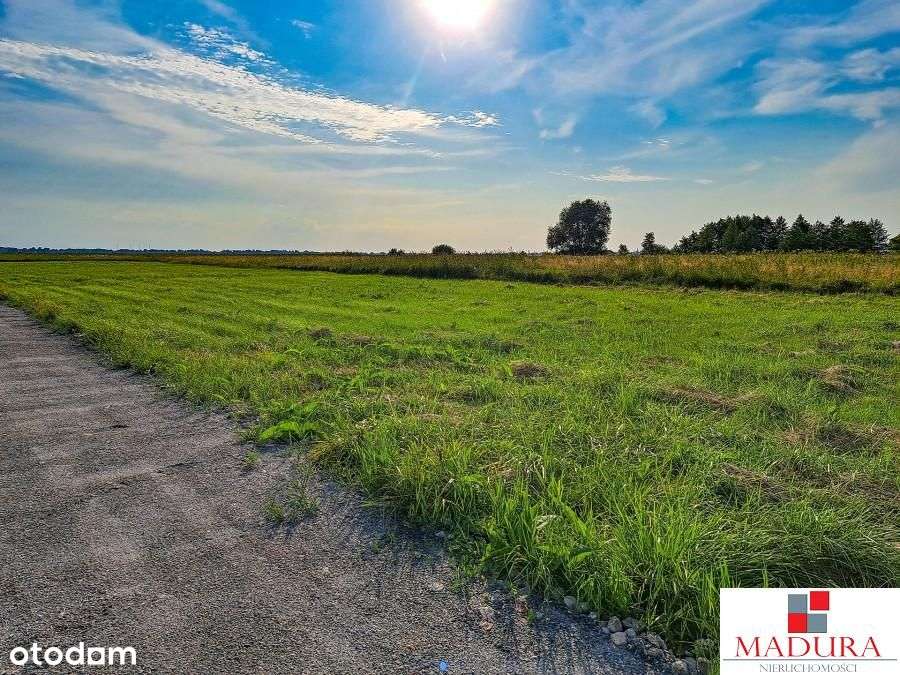 Miedwie działka przy jeziorze z gotowym zgłoszenie - Pełny obrazek: 5/5