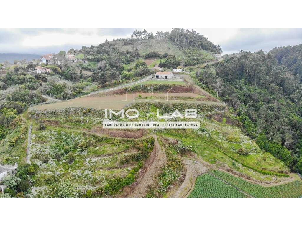 Armazém + 25.566m2 de Terreno Cultivado - São Jorge - Santana-5