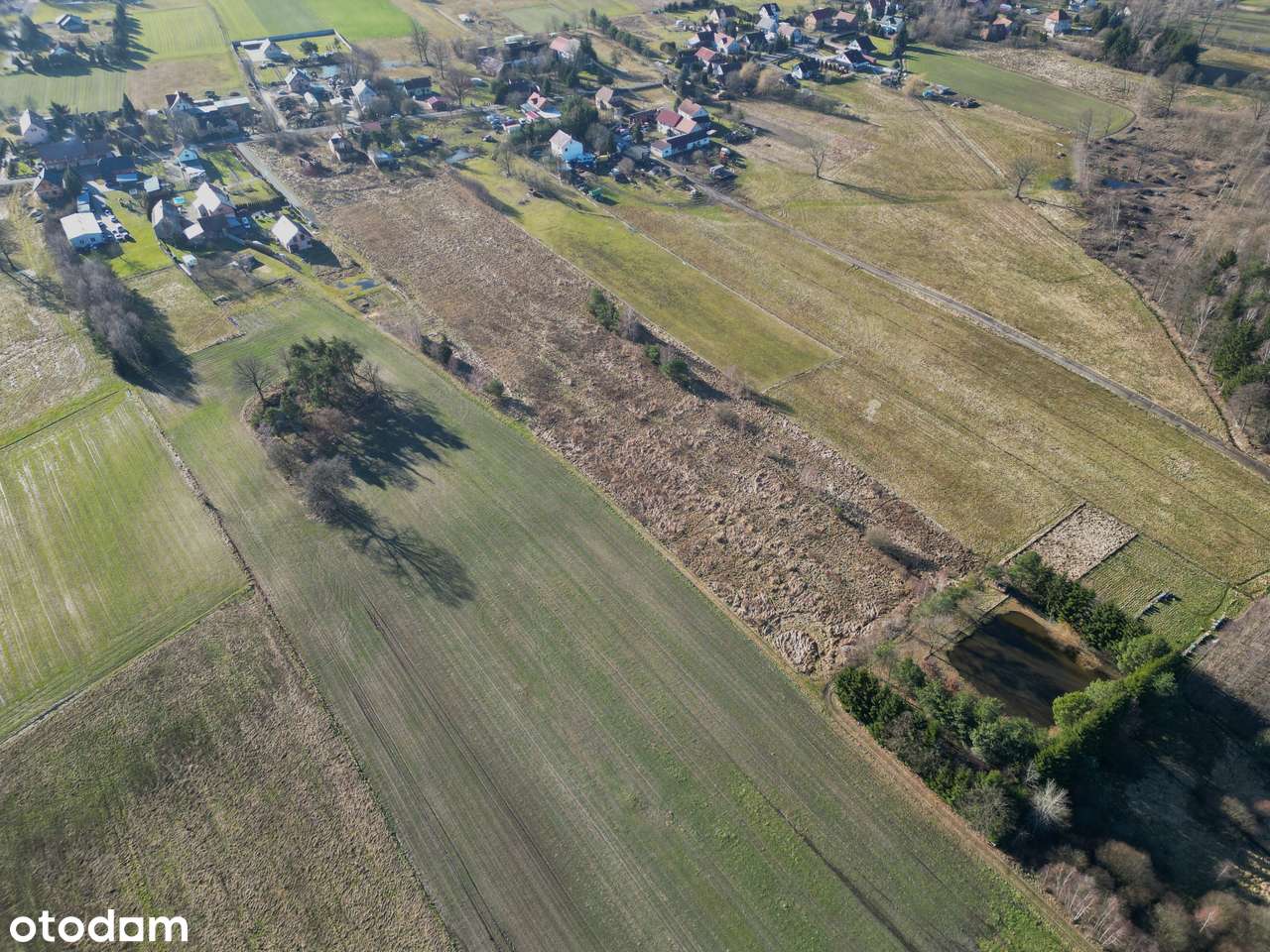 Na sprzedaż działki budowlane w Brzeźniku! 6 km od Bolesławca!-5