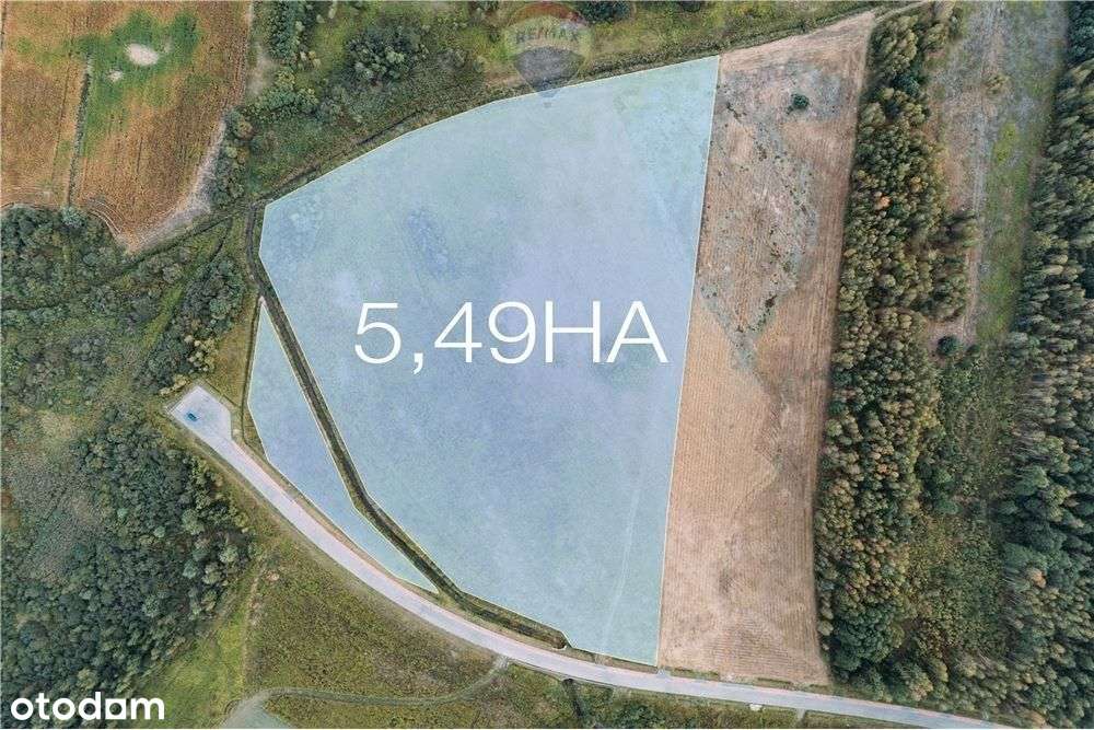 Działka komercyjna w Podborzu k. Mielca - 5,5 Ha - Pełny obrazek: 4/20