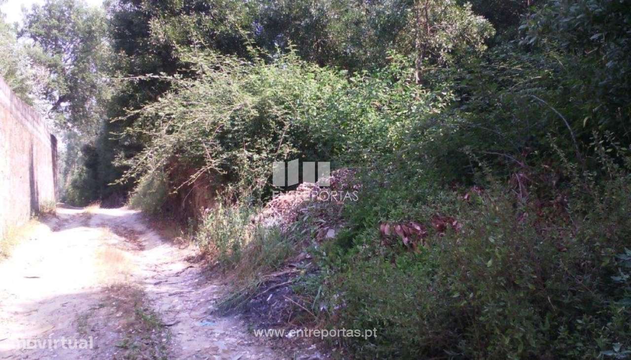Venda de terreno, Canidelo, Vila do Conde - Grande imagem: 4/13