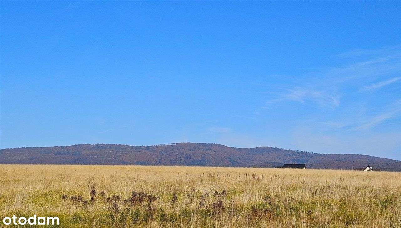 Działka z Widokiem na Góry – Pietrzykowice, 1000m² Pod Zabudowę - Pełny obrazek: 3/7