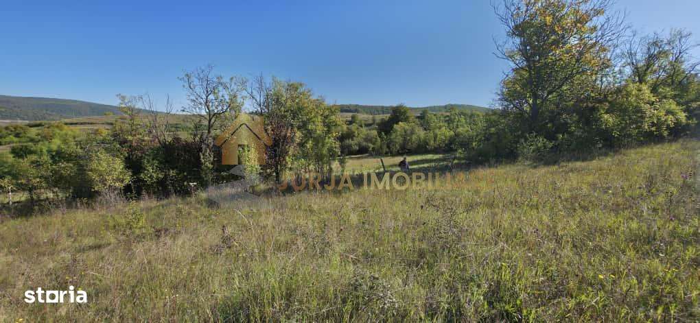 TEREN INTRAVILAN 11000 MP - Imagine principală: 3/9