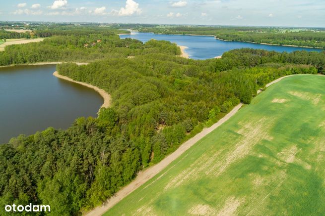 Działka z lasem przy linii brzegowej jeziora-2